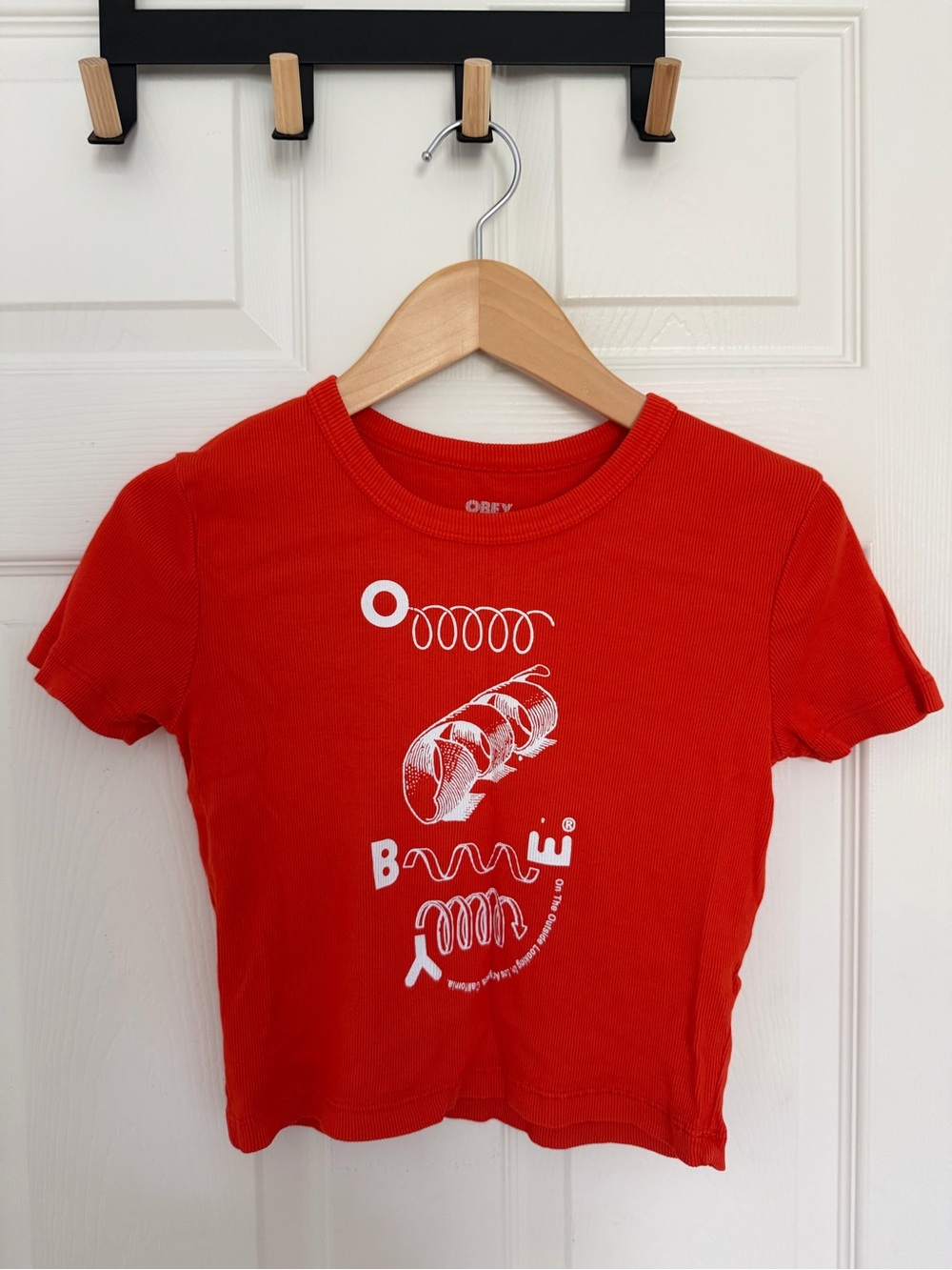OBEY On The Outside Looking In Graphic Baby Tee XS Red Ribbed